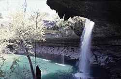 Hamilton Pool and Falls