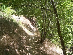 Hyrum-Lake-Park-Trail