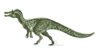 Iberospinus natarioi by PaleoGeek.png