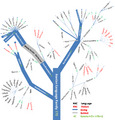 Iranian Family Tree v2.0