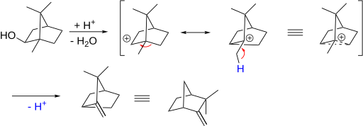 Isoborneol Camphene Conversion