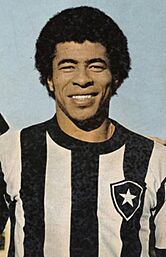 Jairzinho Botafogo 1973