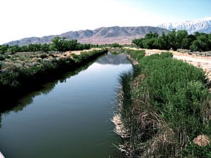 LAAqueductUnlined2