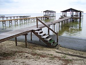 Lake Waccamaw