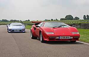 Lamborghini Diablo SV and Countach