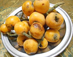 Loquat in plate