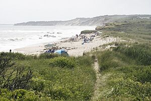 Marthasvineyard-Chilmark-LucyVincent