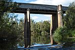 Menangle Viaduct 4