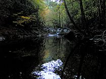 Middlepronglittleriver-tenn