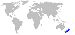 Mustelus lenticulatus distmap.png