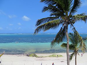 Nyali Beach