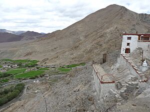 Nyoma's setting as seen from the gompa (Buddhist monastery)