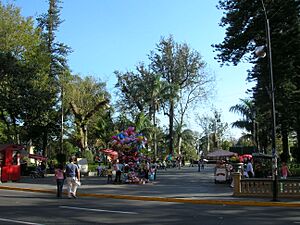 Parque Juárez