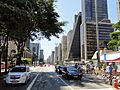 Paulista ave-3