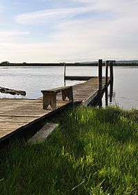 Pier on Nicomekl river