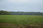 Prairie De Ane Battlefield