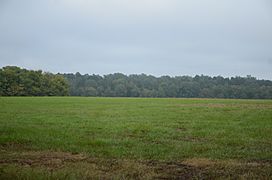 Prairie De Ann Battlefield