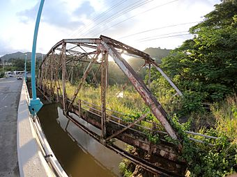 Puente La Plata desde Bayamon.jpg