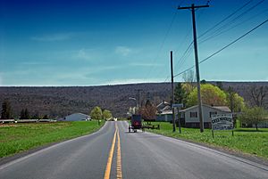 Road Sharing