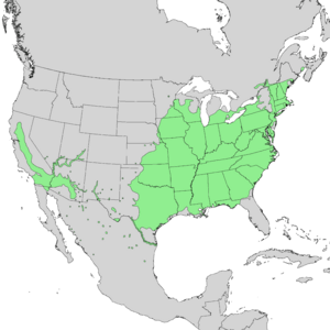 Salix nigra range map 1.png