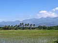 Tamil Nadu countryside