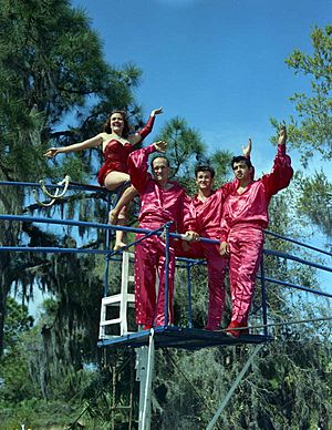 The Flying Wallendas Sarasota, Florida