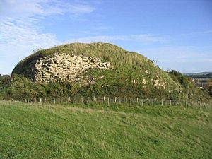 The keep at Wark Castle - geograph.org.uk - 271091.jpg