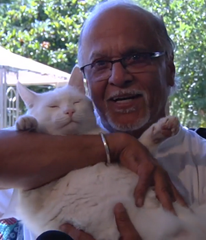 Trinidadian actor Gerry Bednob.png