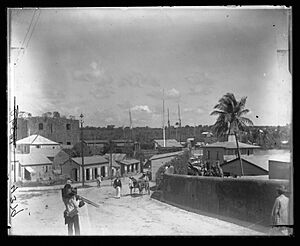 Wall surrounding Santo Domingo (3796294208)