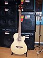 Acoustic bass guitar 1