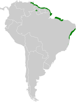 Amazilia leucogaster map.svg