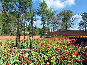 Atlanta Botanical Garden 1