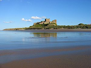 Bamburgh2006