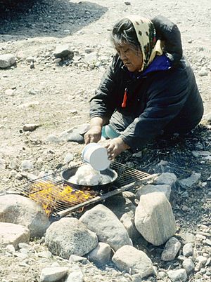 Bannock 1995-07-01