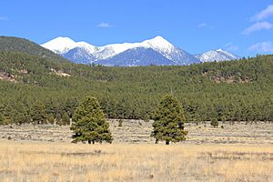 Bellemont Arizona View