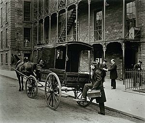 Bellevue Hospital Ambulance, New York Times, 1895