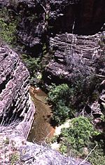 BlueMountains0062