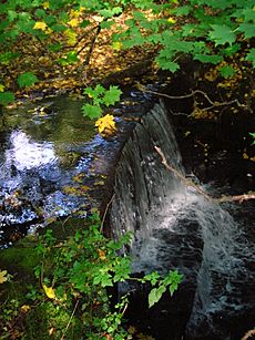 Broadlie House Dam