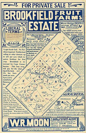 Brookfield Fruit Farms Estate, 1914