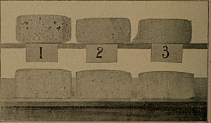 Cheddar cheese making (1895) (20577597926)