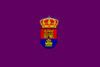 Flag of Concello de Guitiriz