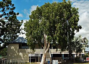 EmuParkSchool2