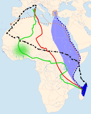 Falco eleonorae migration routes.png