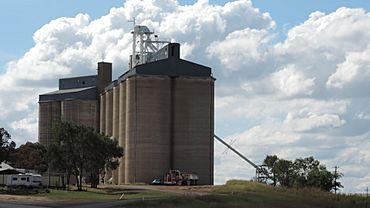 Gain silos, Wandoan, 2014.JPG