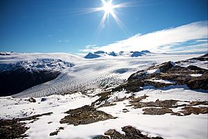 Harding Icefield 1