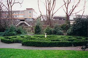 Iveagh gardens labyrinth