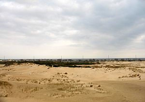 Jockeys ridge state park