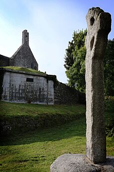 Kilgobbin high cross sept 2014