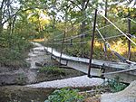 Konza trail fall bridge 2