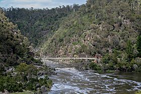 Launceston-Tasmania-Australia05.JPG